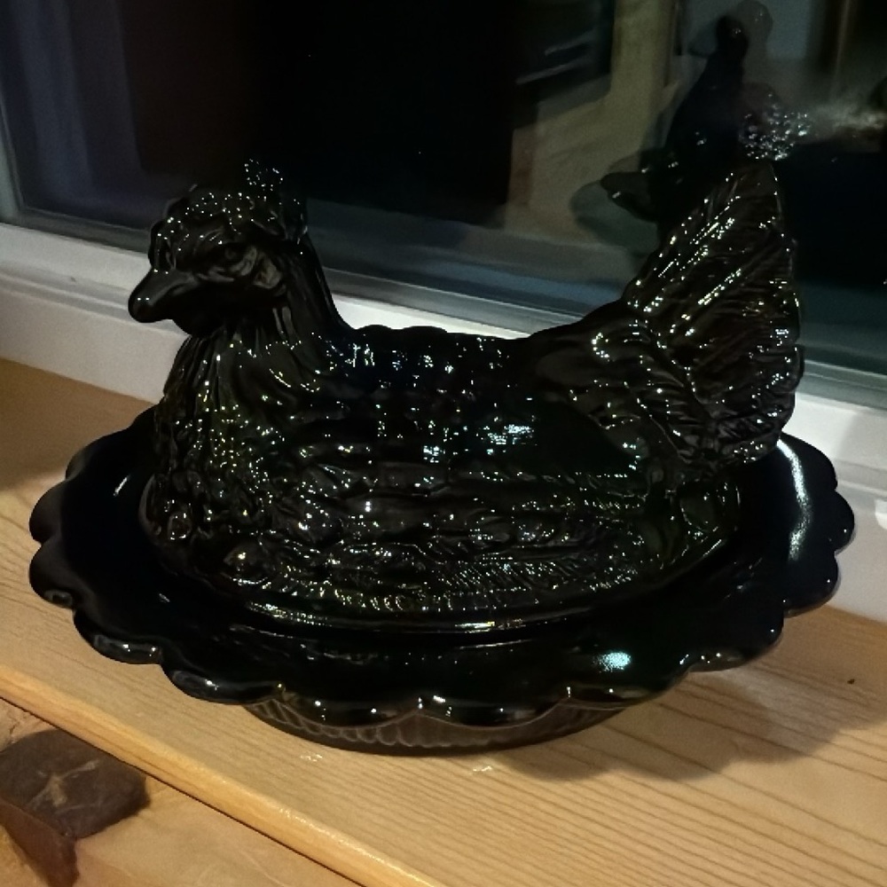 Mosser Hen on Nest